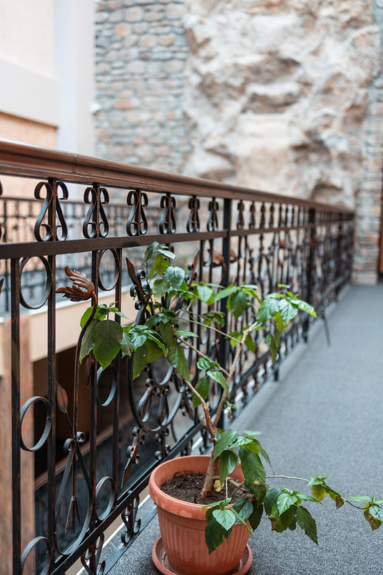 Hotel Neptun Vidin Extérieur photo